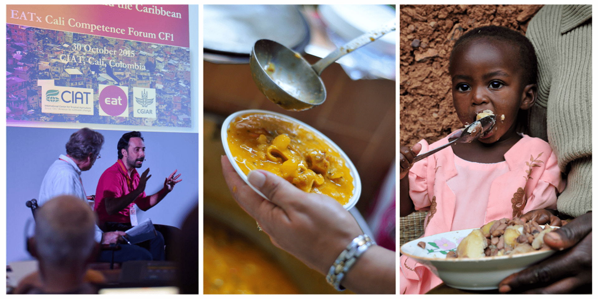 Linking local and global food systems for more healthy and sustainable communities