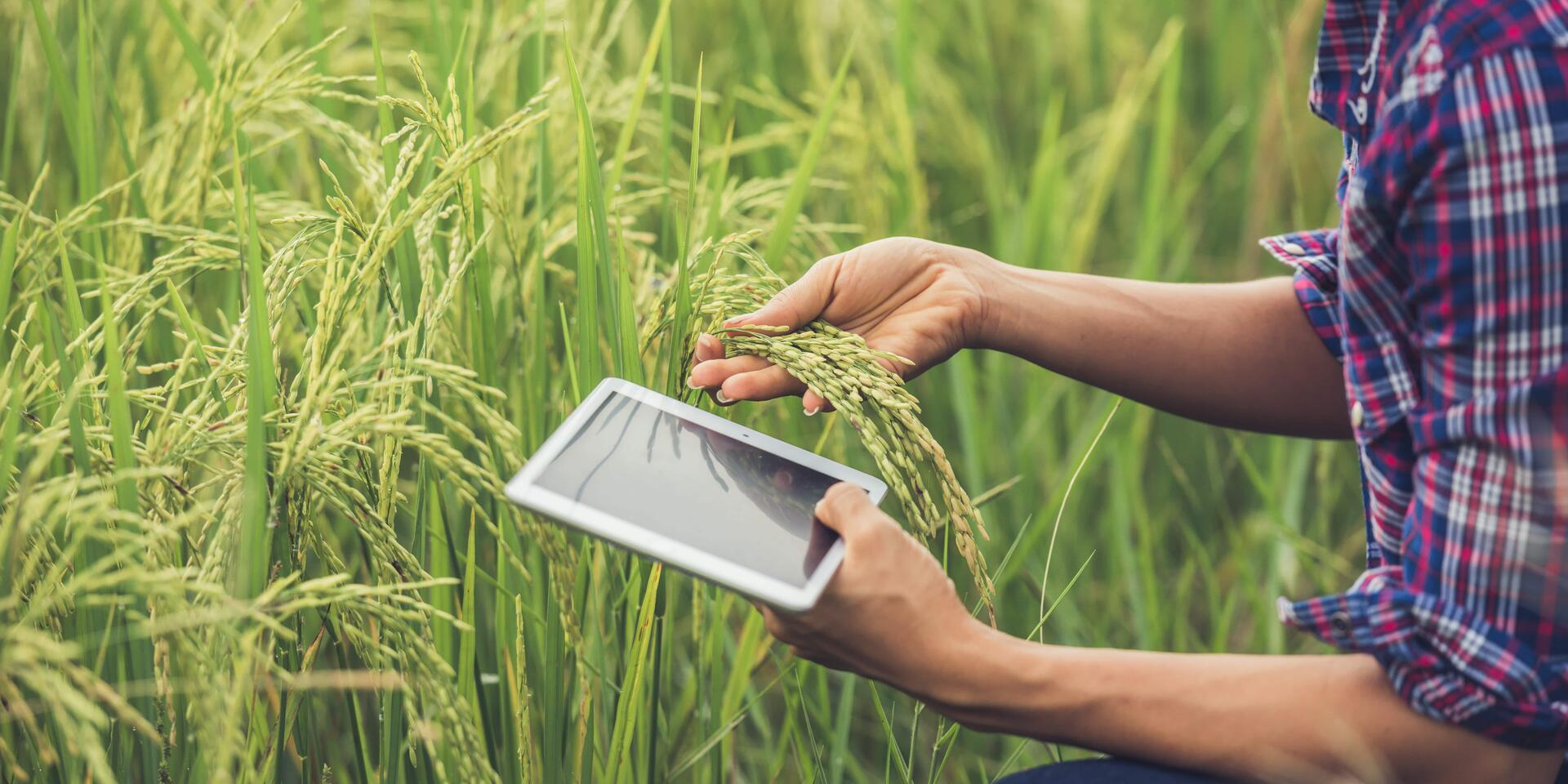 Validation, Collaboration, Digitalization Insights from 13 - July - Venture-Out - Alliance Bioversity International - CIAT