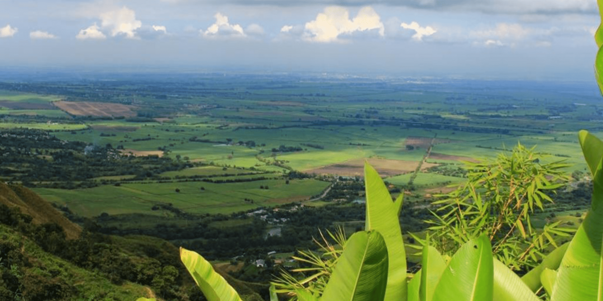 Cali y el Valle del Cauca se preparan para enfrentar el cambio clim&aacute;tico