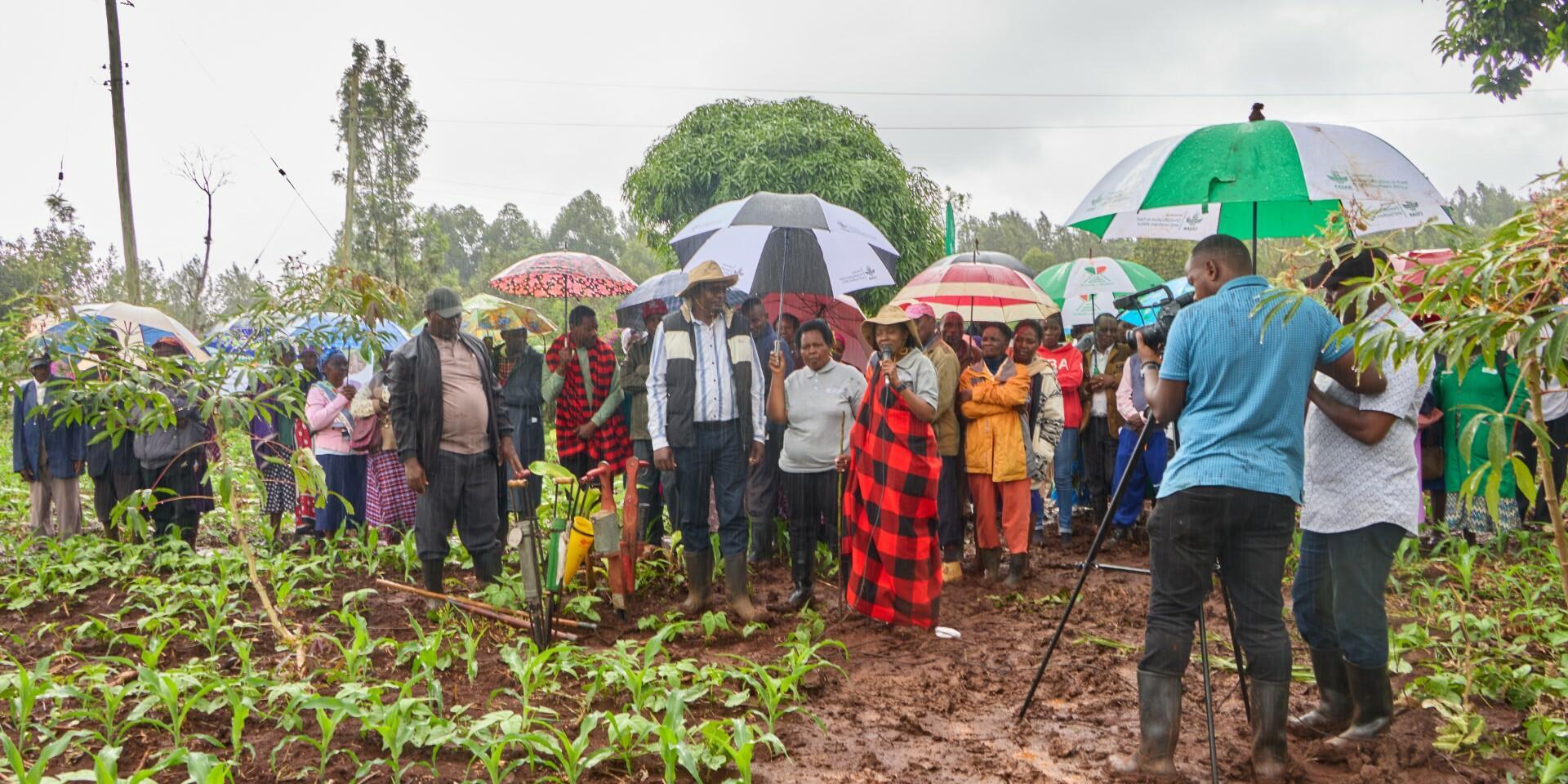 Virtual Field Tours Revolutionize Agriculture Information Dissemination in Kenya - Alliance Bioversity International - CIAT