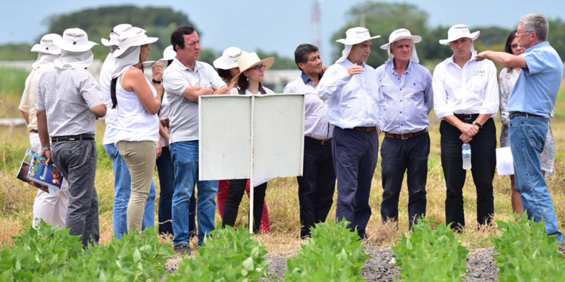 El Gobierno no quiere que los agricultores cultiven productos de moda, sino bien investigados: Rafael Pardo