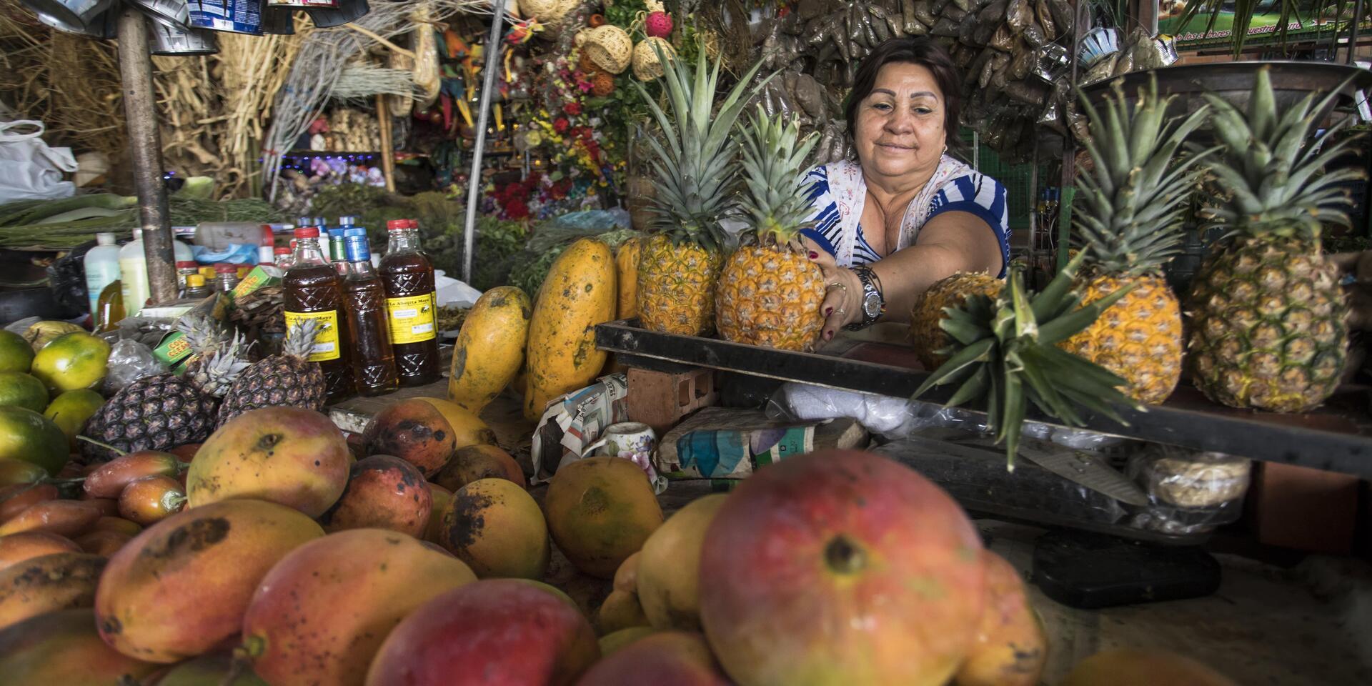 Webinar - What are the sticky factors that prevent food system transformation - Alliance Bioversity International - CIAT