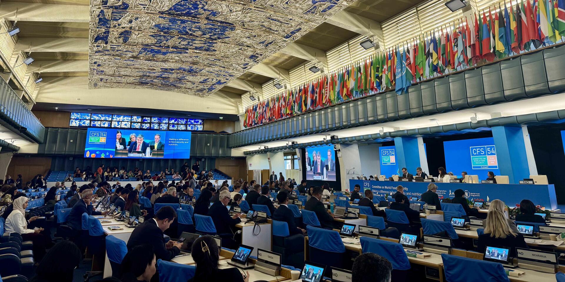 Who decides what AI does to our food - Reflections from CFS 54 in Rome