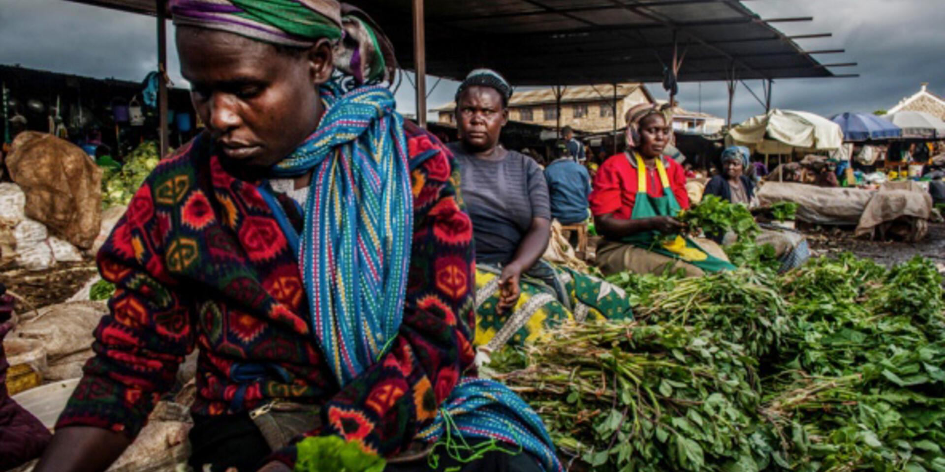 Indigenous vegetables make a comeback in Kenya and other African countries