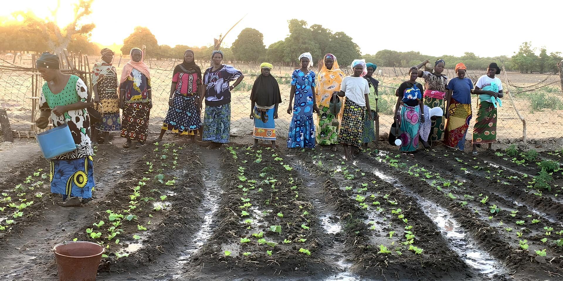 World Bank funded programs join forces to scale climate-smart villages across West Africa and the Sahel
