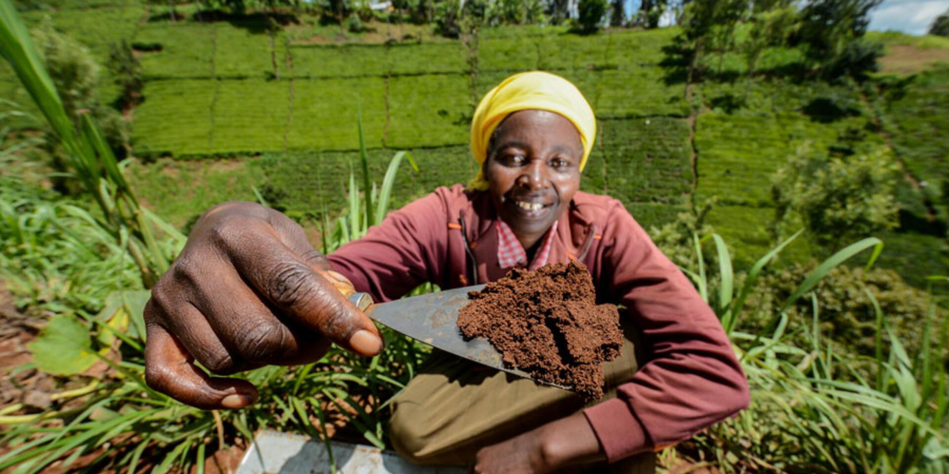 Sink more carbon in the soil? It&rsquo;s not that easy