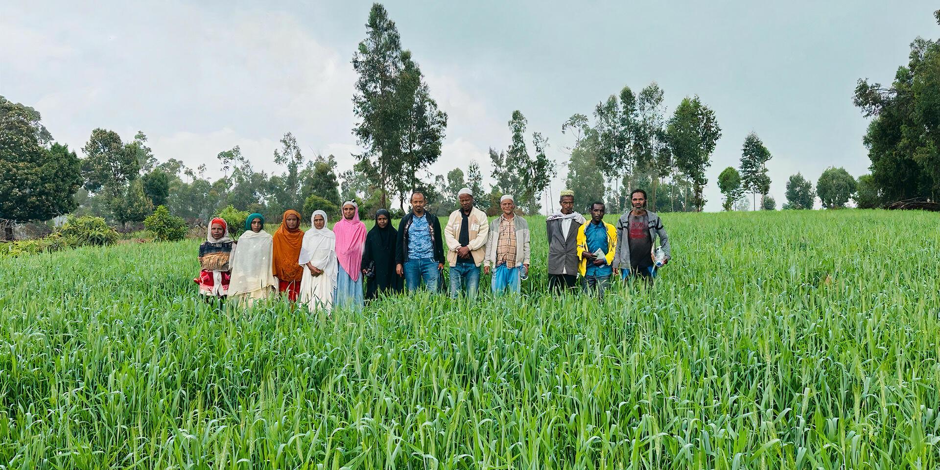 Inclusive agricultural transformation Strengthening farmer&ndash;research&ndash;extension linkage platforms and digital feedback for a responsive innovation system in Ethiopia - Alliance Bioversity International - CIAT