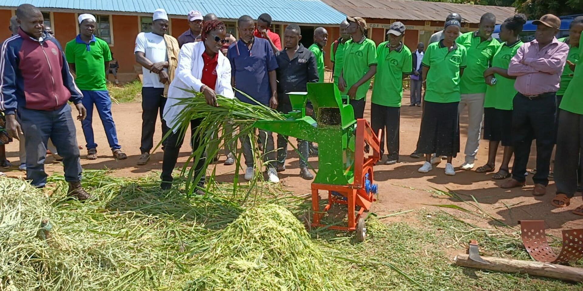 Kenya: Strengthening the Livestock Sector Through Improved Fodder Systems 