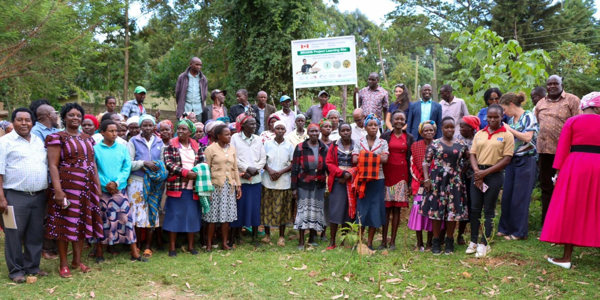 Kenyan Bean farmers embrace beneficial insects and fruit trees to combat climate change