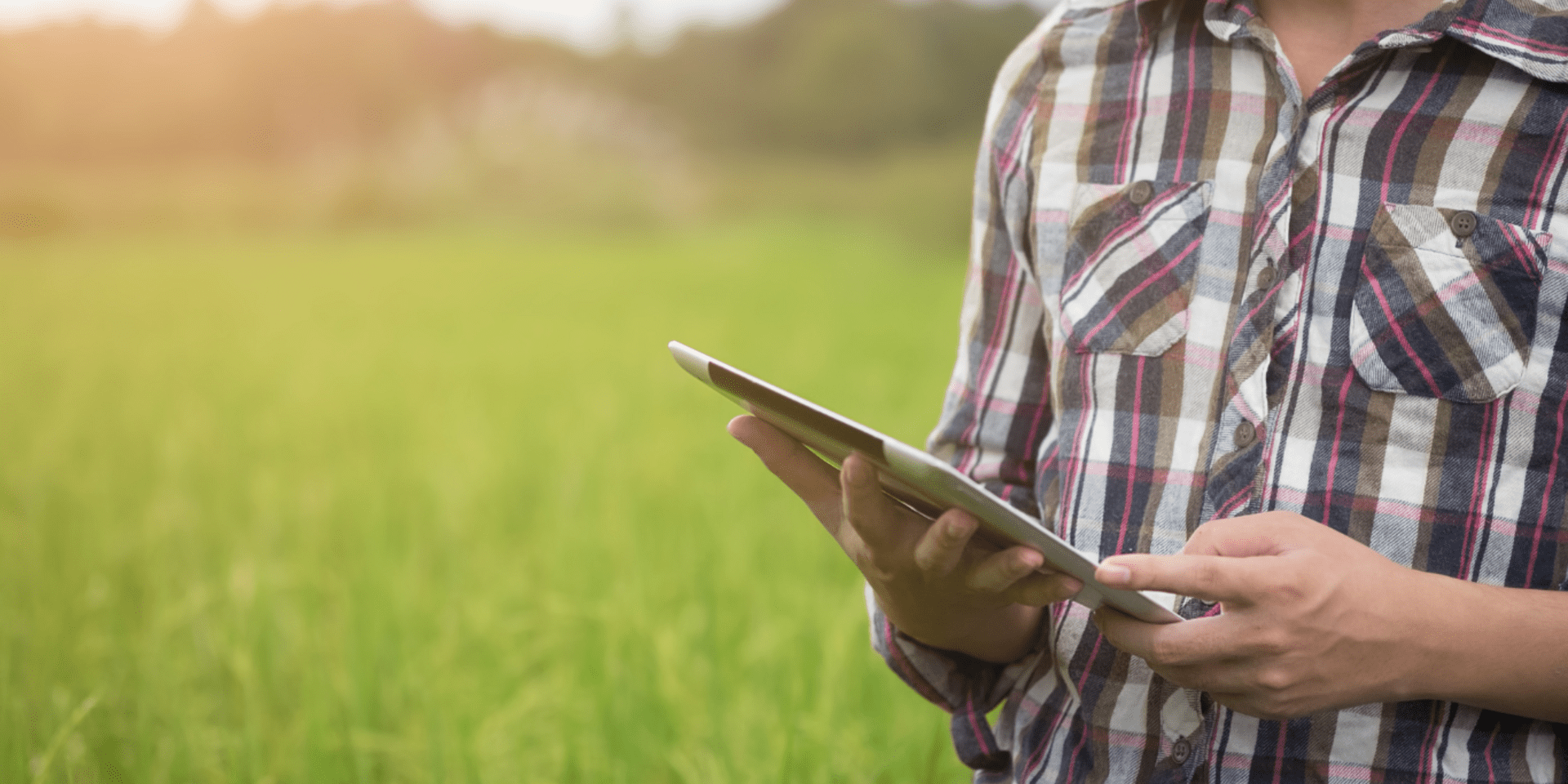 Kickoff Event: Introducing RAMP &ndash; Research And Market Pathways 