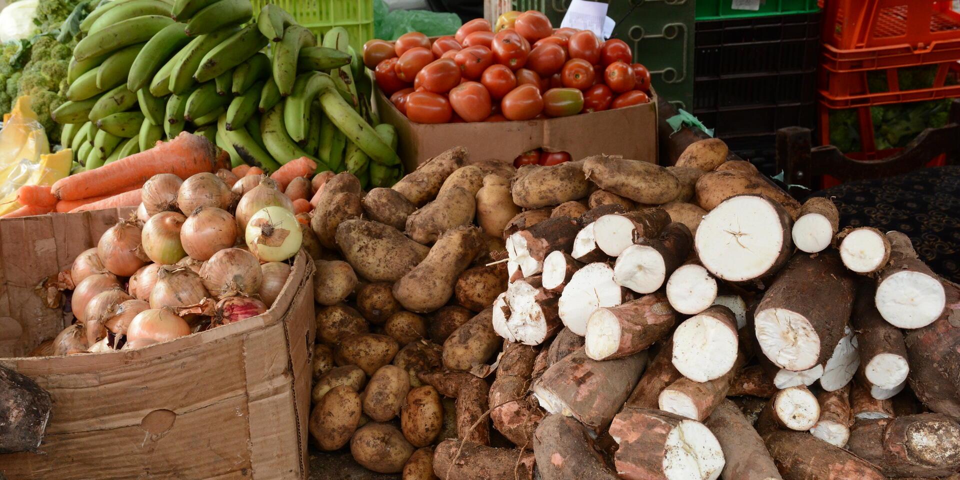 Know Your Food: Tools to revolutionize food composition and why this matters for people and the planet - Alliance Bioversity International - CIAT