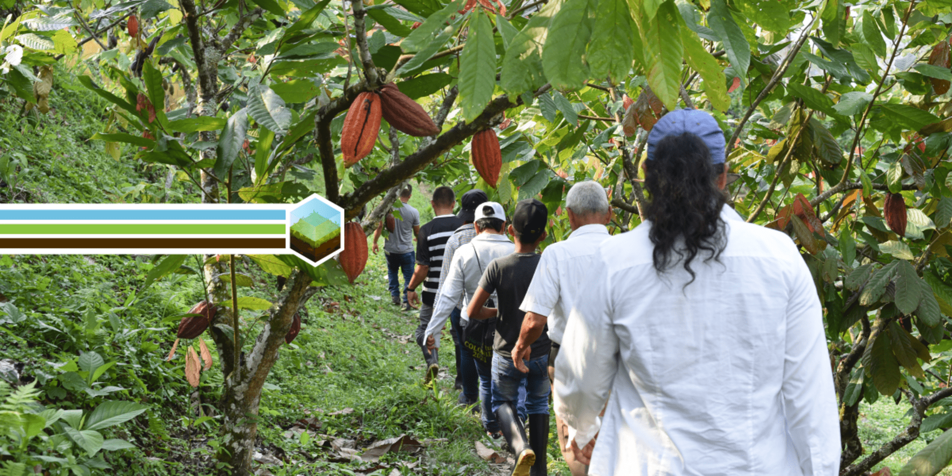 La agricultura sostenible est&aacute; construyendo la paz en Colombia