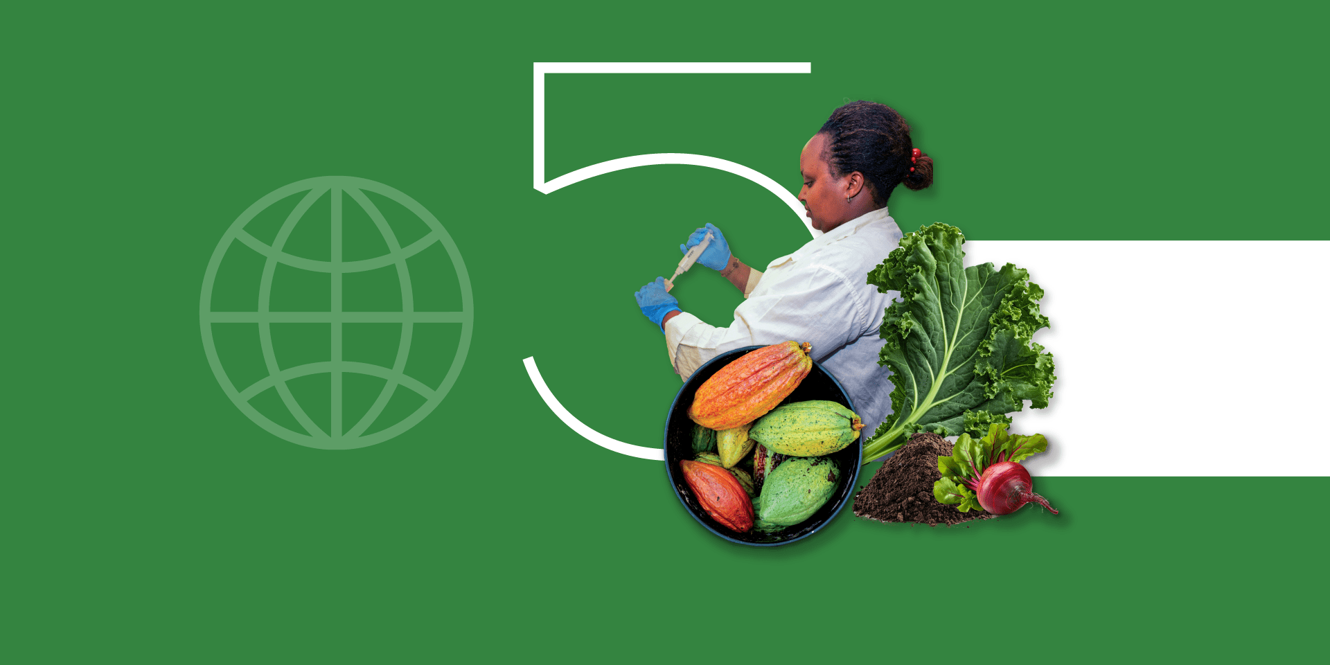 L&rsquo;Alliance dans les m&eacute;dias  2024 - Rapport Annuel 2024 - Alliance Bioversity International - CIAT