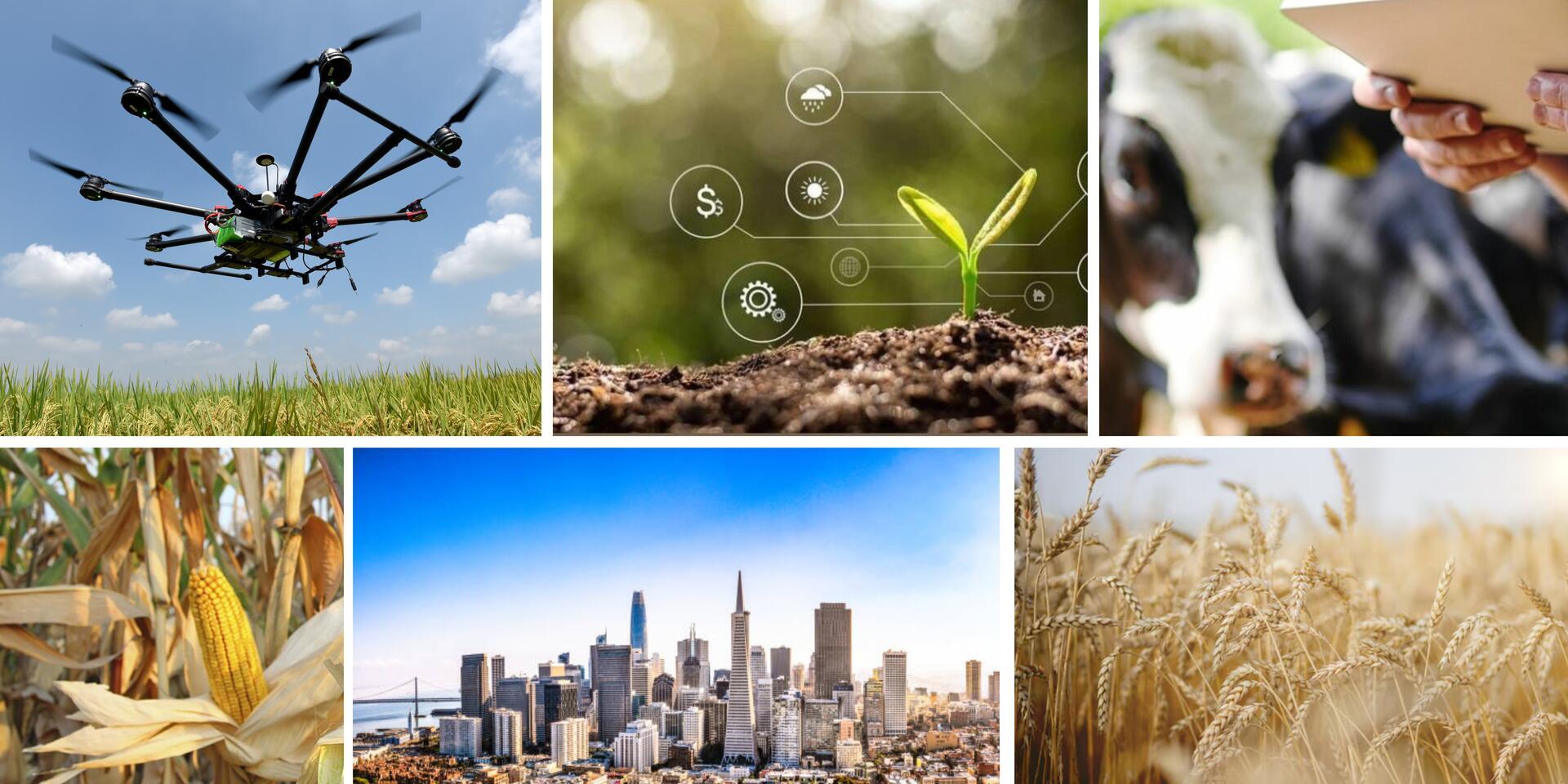 Landing big ideas in AgTech The Alliance at the World Agri-Tech innovation summit San Francisco - Alliance Bioversity International - CIAT