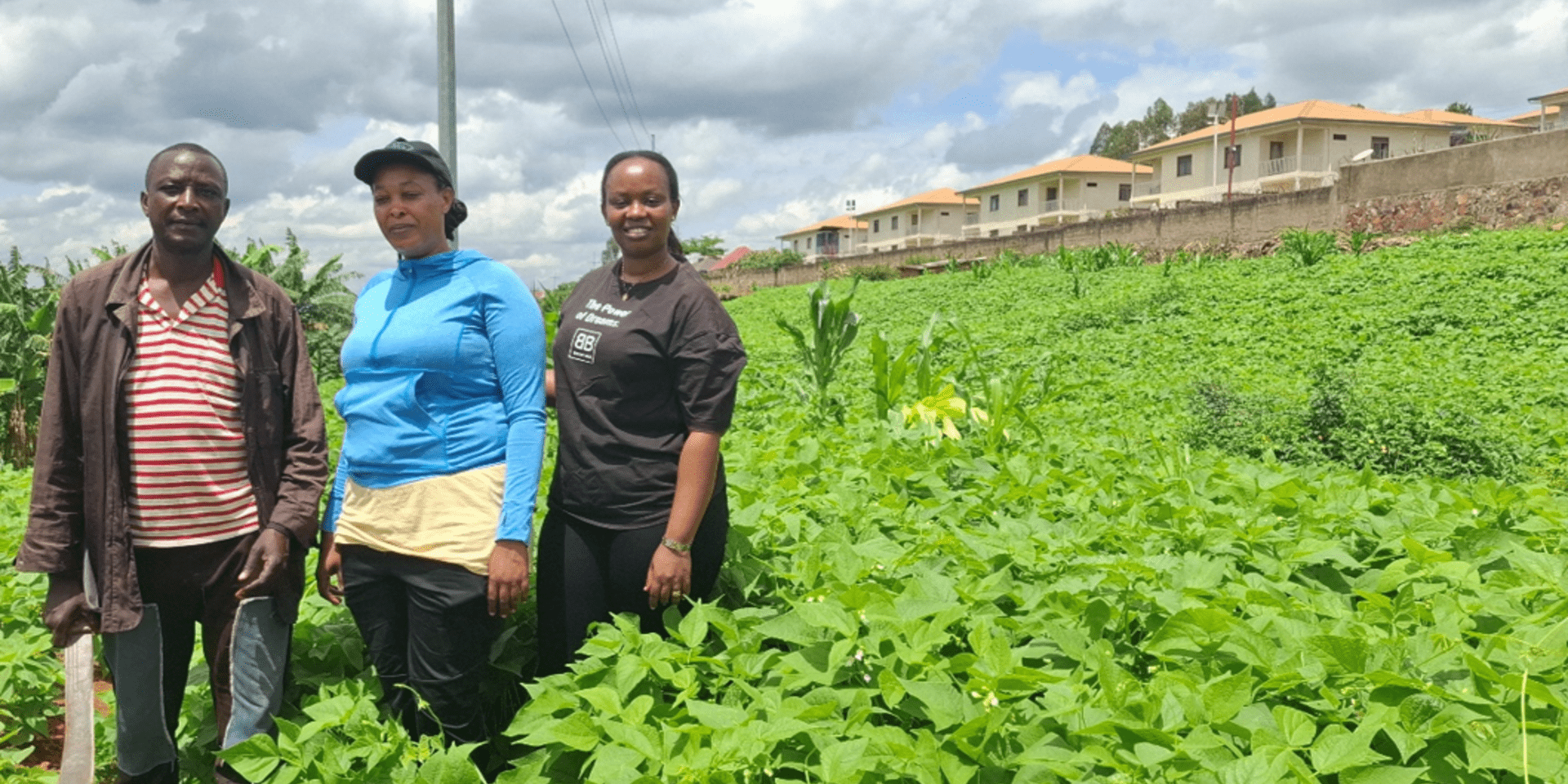 Learning to dance in the storm Resilient farming with beans, trees and bees in Rwanda
