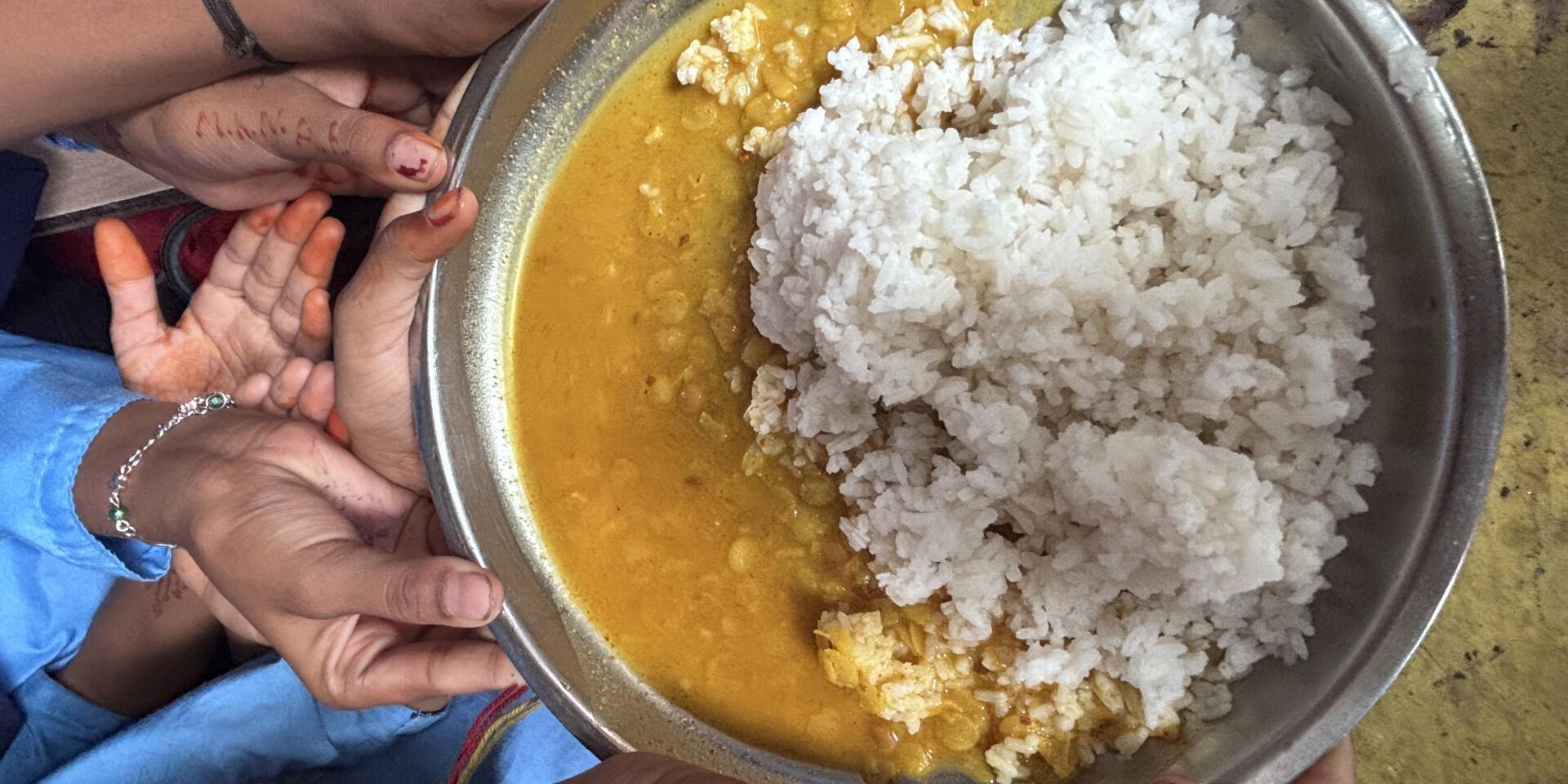 Lessons from Piloting a Tool to Monitor Agrobiodiversity and Social Inclusion in School Meal Programmes in India 