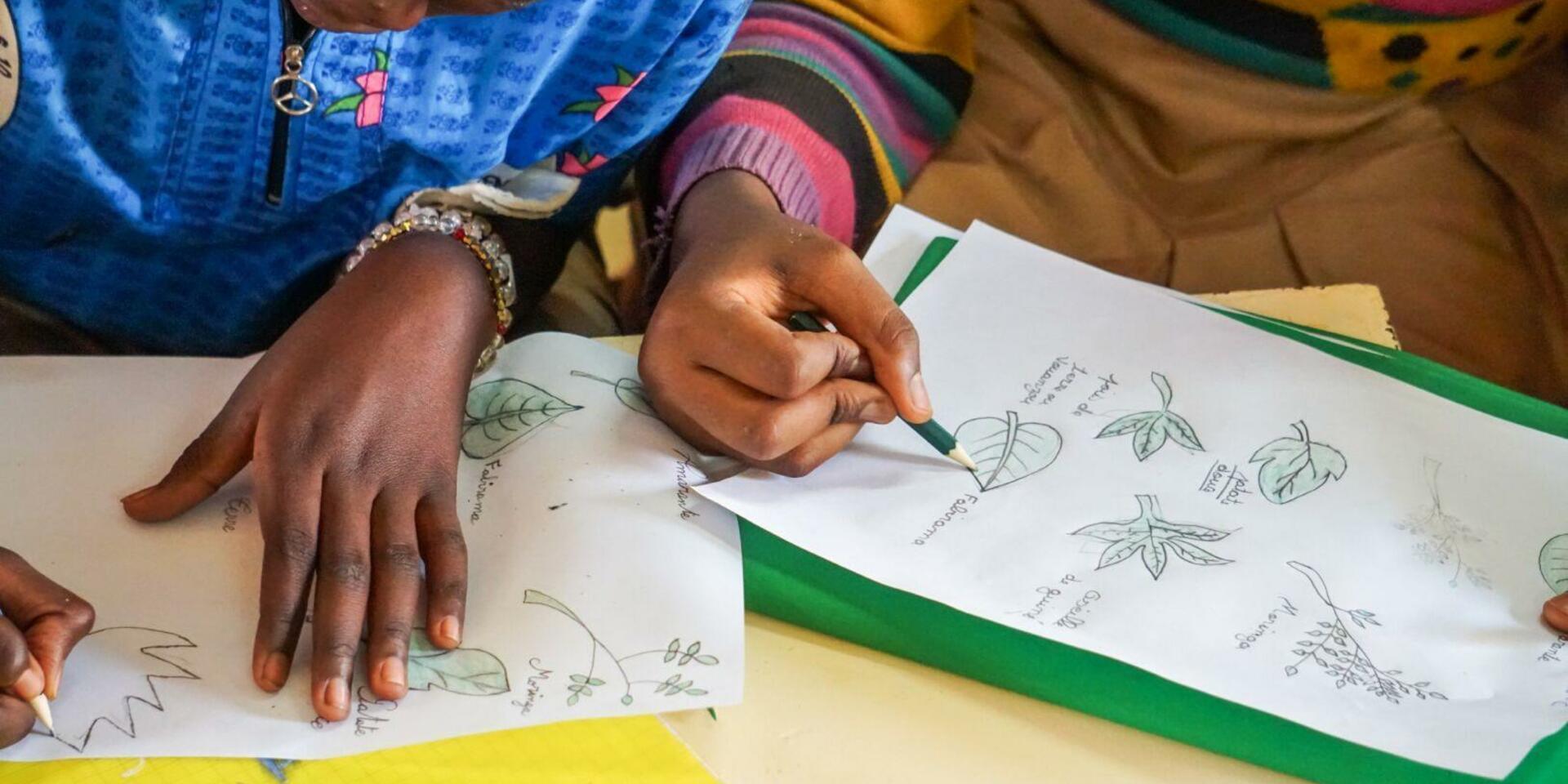 Lunch Matters: How school meals enhance nutrition, education and agrobiodiversity in Africa 