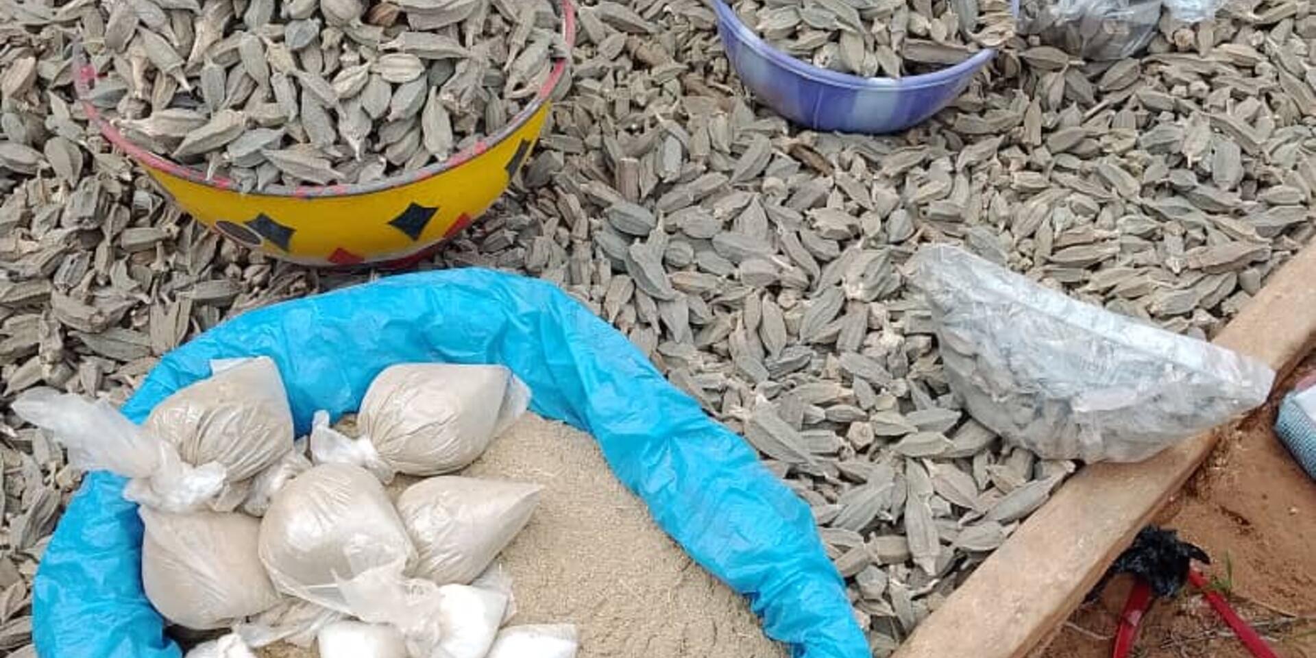 Making Market Information Work for Neglected Crops in Niger