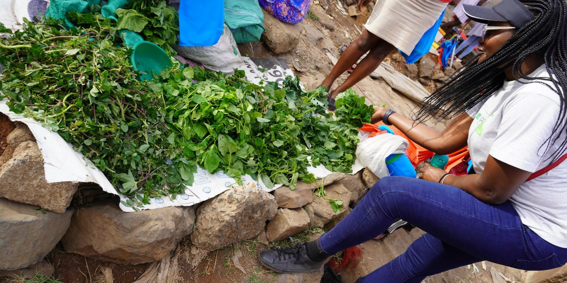 Micro, Small and Medium Enterprises (MSMEs) as an Entry Point for Improving Diets of Consumers in the Informal Neighborhoods of Africa