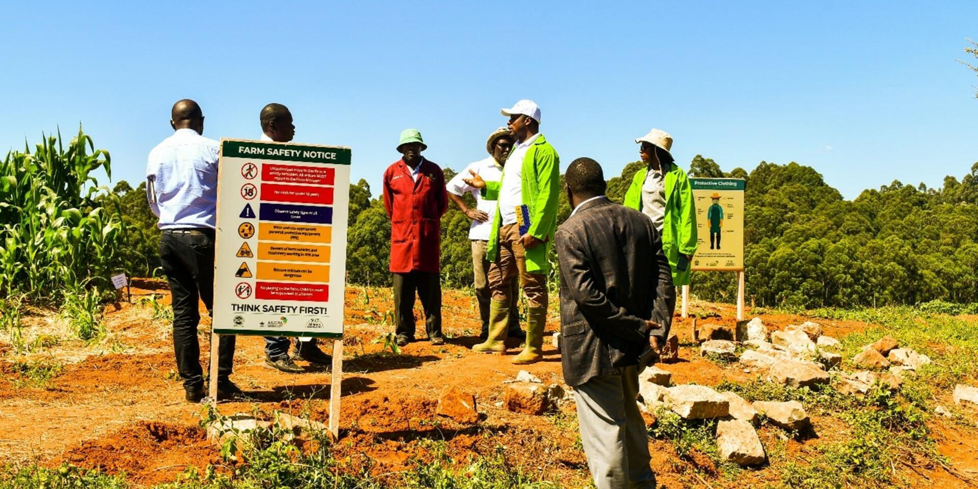 Navigating the Road to Sustainability: Kenyan Universities Embracing the Environmental and Social Safeguards