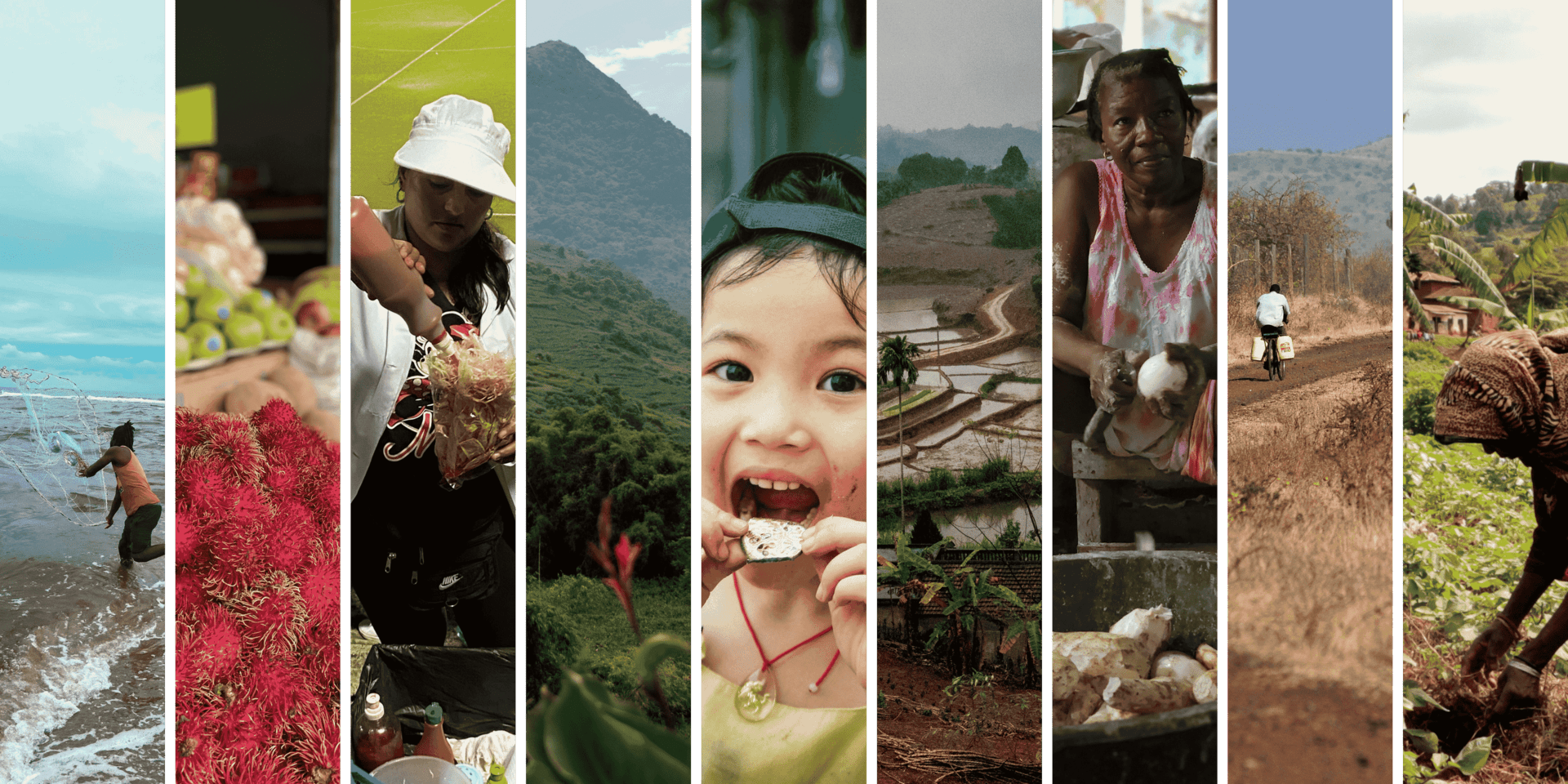 Nine heads up from science to decision-makers for managing global crises