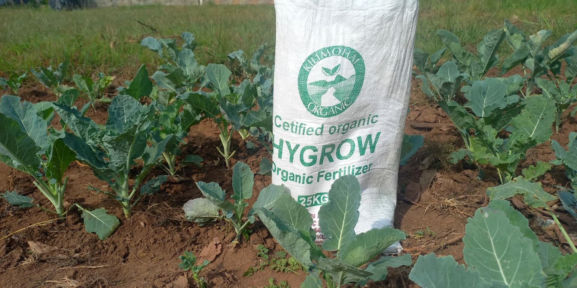 Organic Waste Recycling for a Sustainable Food Future in Kenya