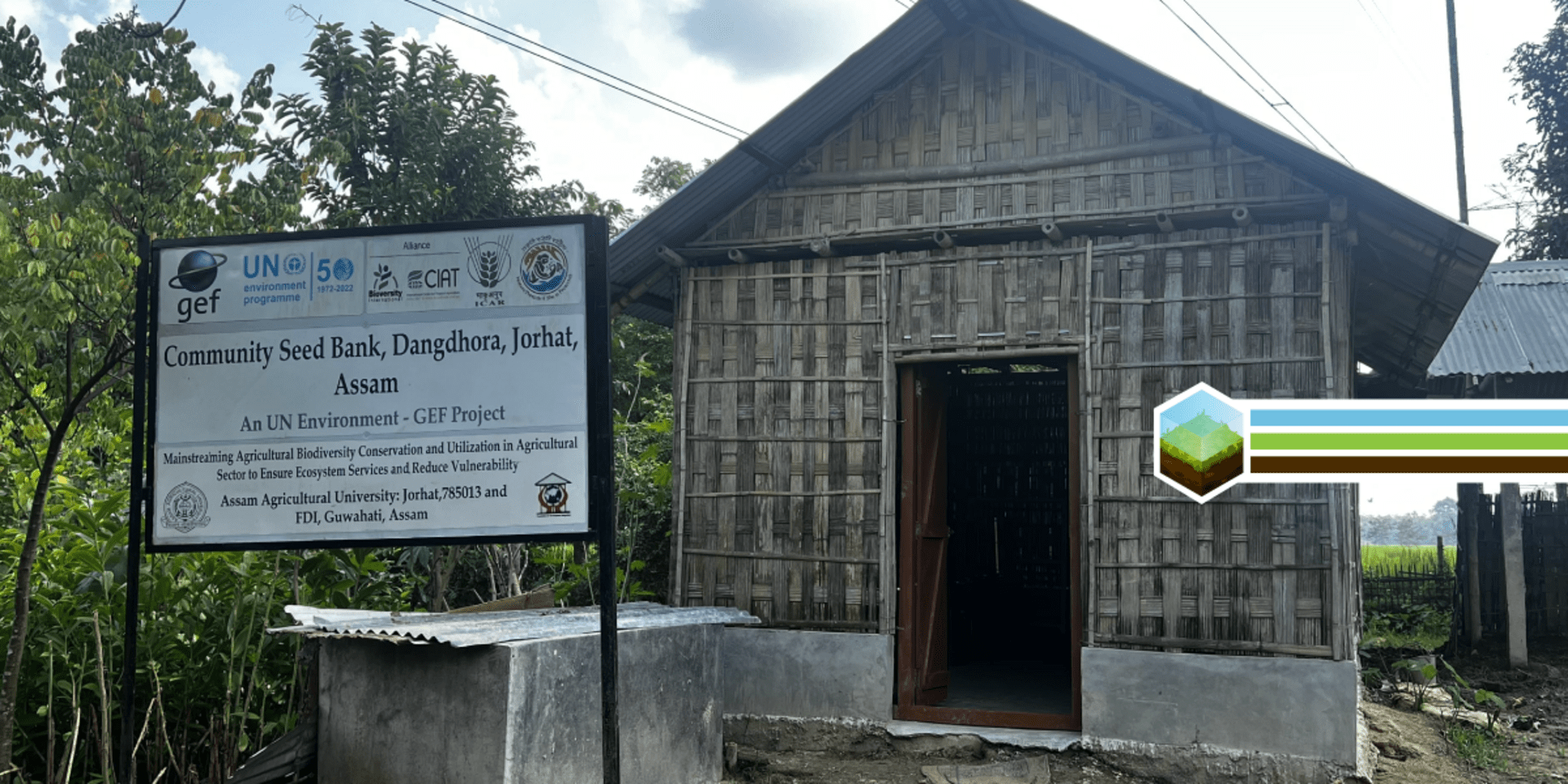 Planting seeds of hope Community seed banks empower farmers and address climate risk in India 