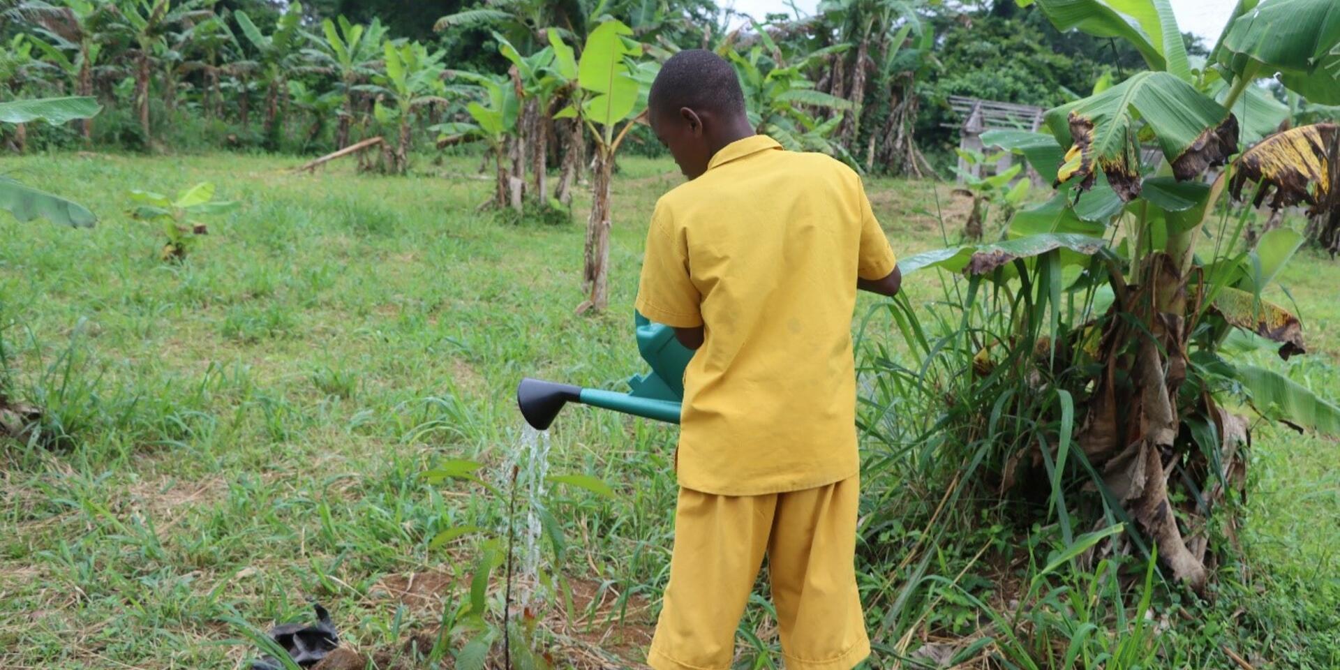 Planting to learn - When pupils become guardians of tomorrow&rsquo;s forests