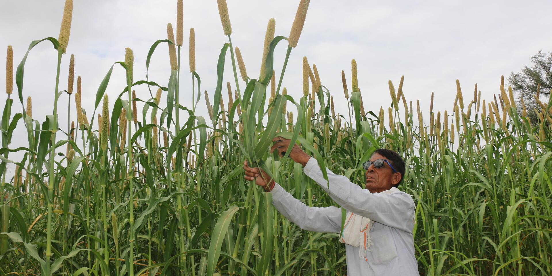 Preserving Tradition, Enhancing Livelihoods: Stories of Two Farmers From Rajasthan 