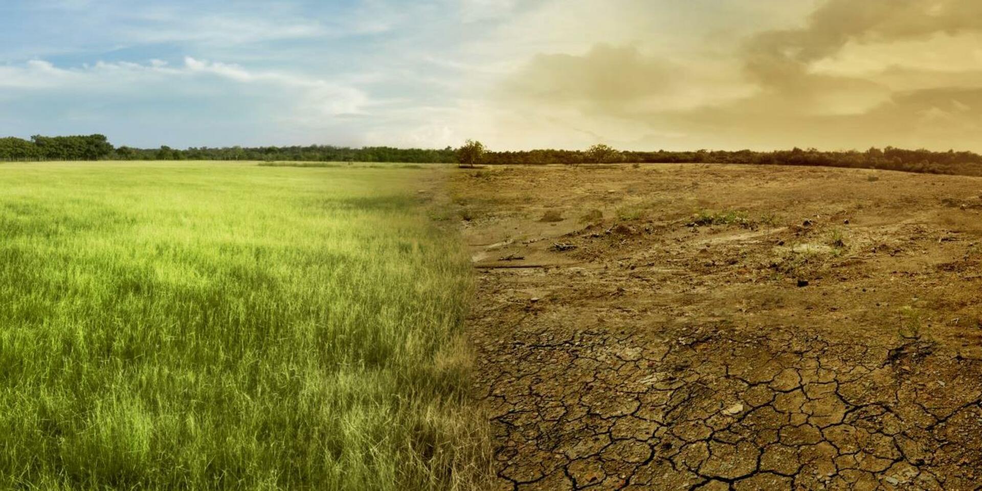 Reinventing agriculture in Africa: CGIAR and the Alliance Pioneer Climate Resilience and Agri-Food Innovation 