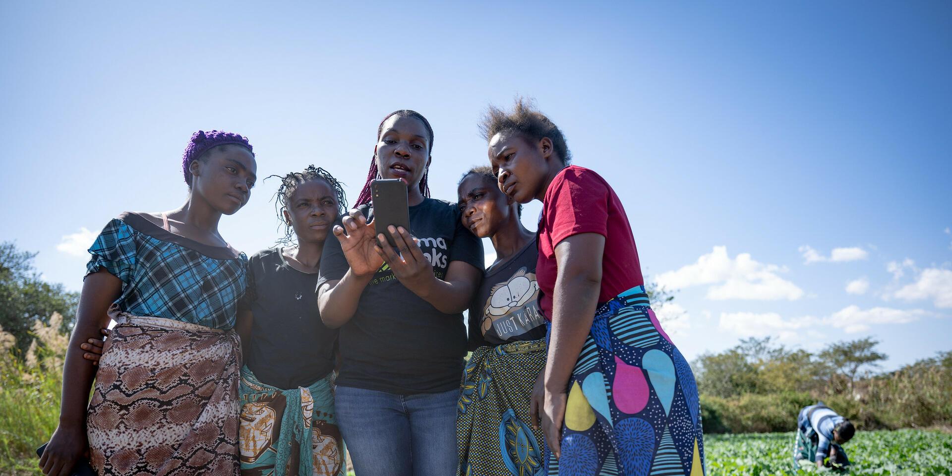 Scaling Financial and Information Services for Smallholder Adaptation