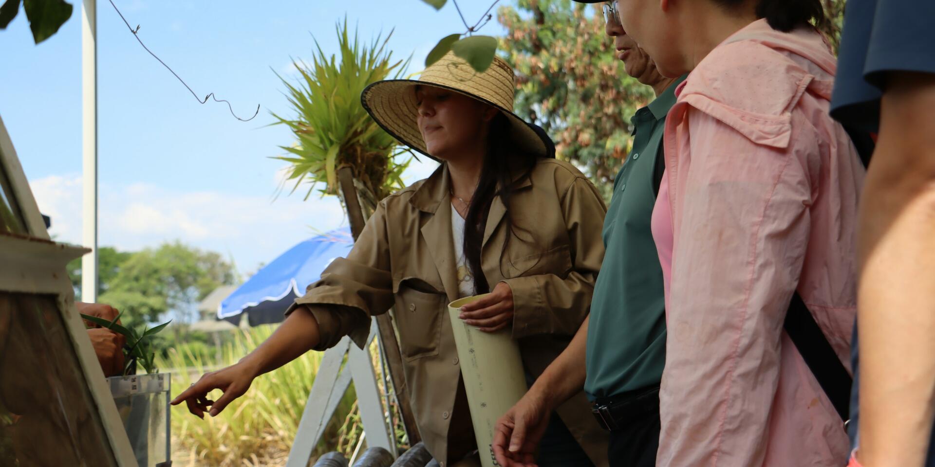 Scaling green manure in Hainan with forages that reduce costs and support national soil policies