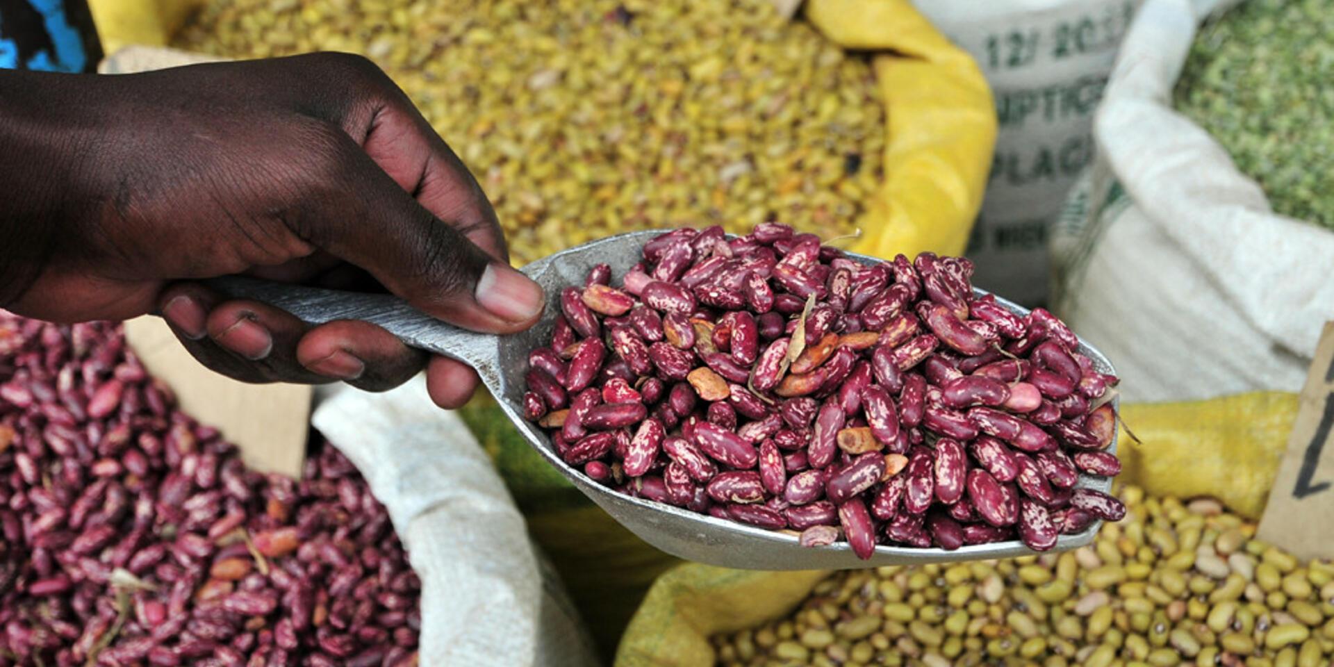 Scaling nutrition: impact Schools serve up High-Iron Beans