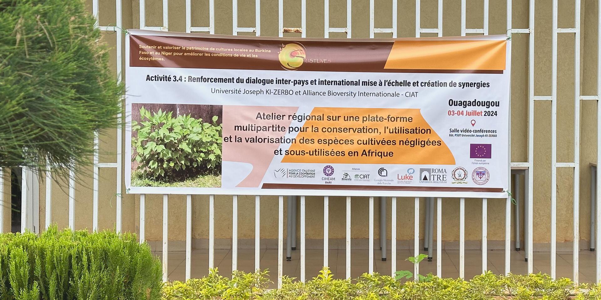 Scaling up Neglected and Underutilized Crops across Africa: a multi-stakeholder platform drives collaboration  