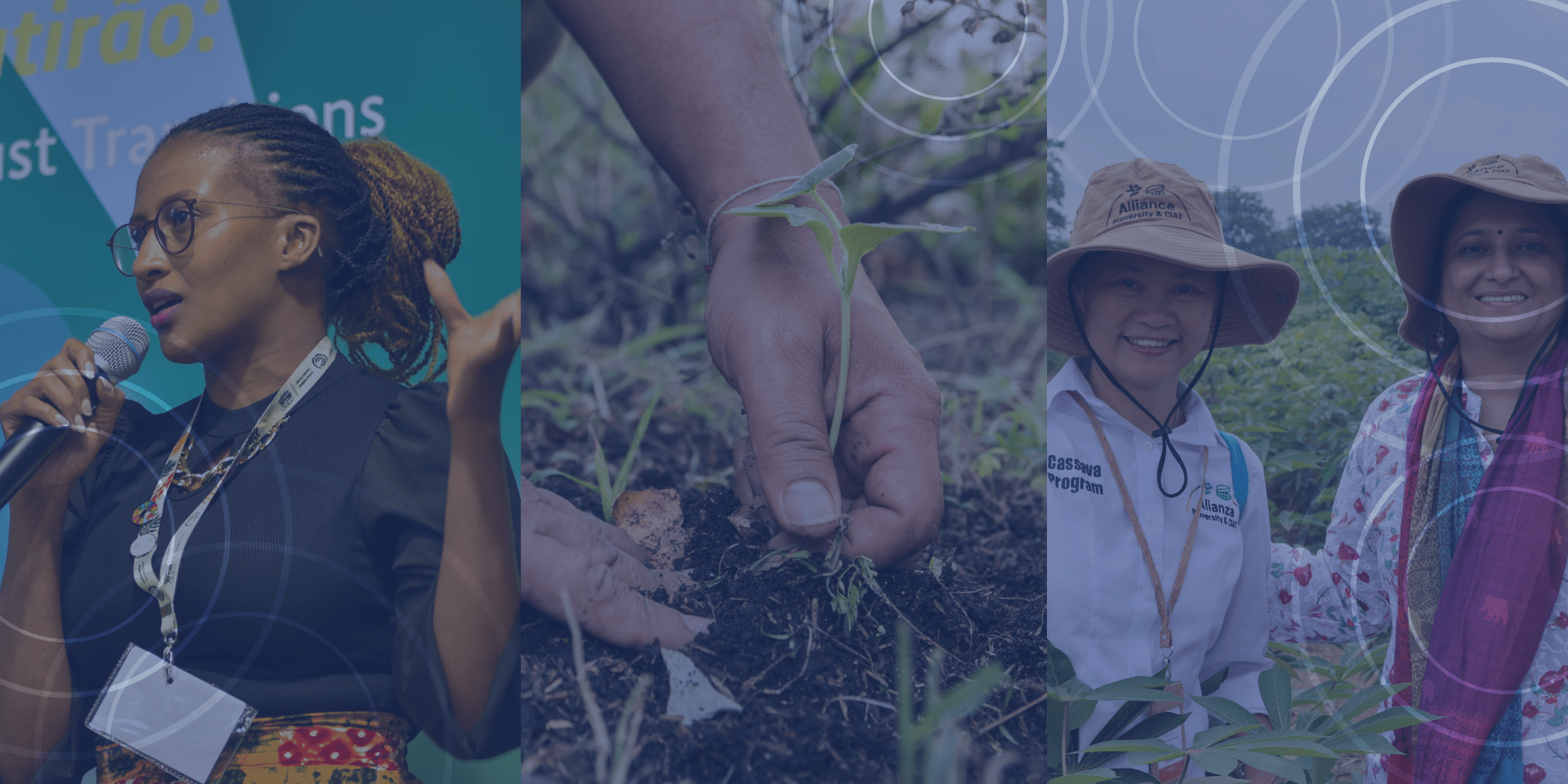 Science under pressure -  building resilient food systems through innovation and partnership in turbulent times - Alliance Bioversity International and CIAT 