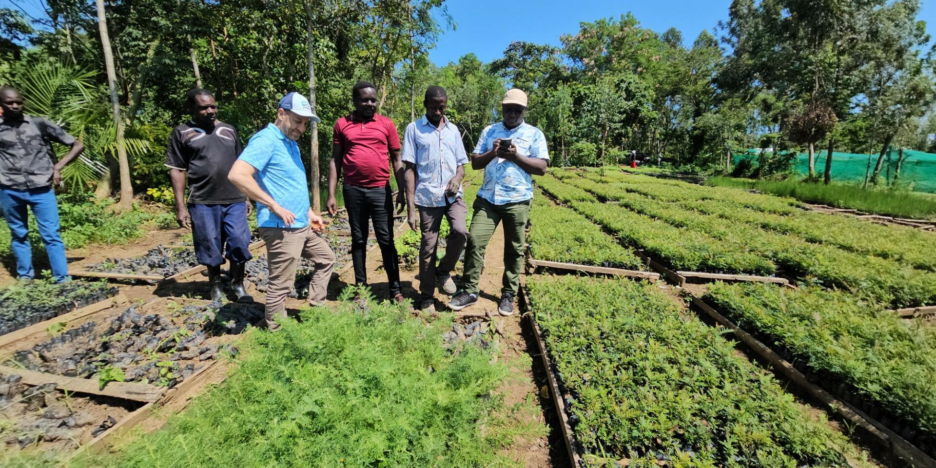 Siaya,kenya Breaking the Barriers of Trees Farming 