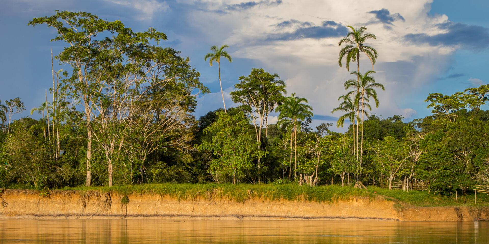 Soil conservation strategies in Amazon agroecosystems - An ethnoecological approach