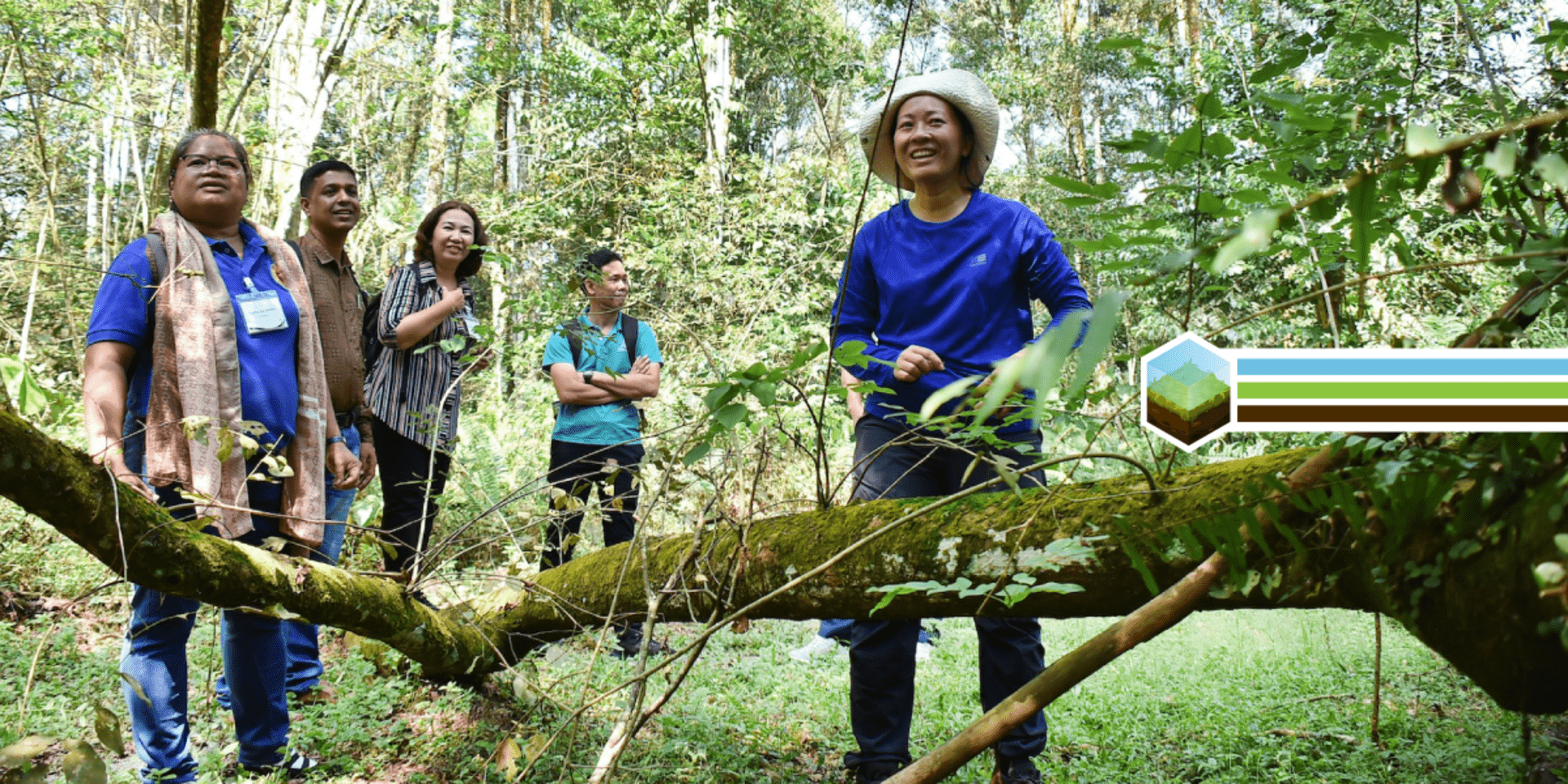 Strengthening partnerships in championing forest and tree conservation in the tropics&nbsp;