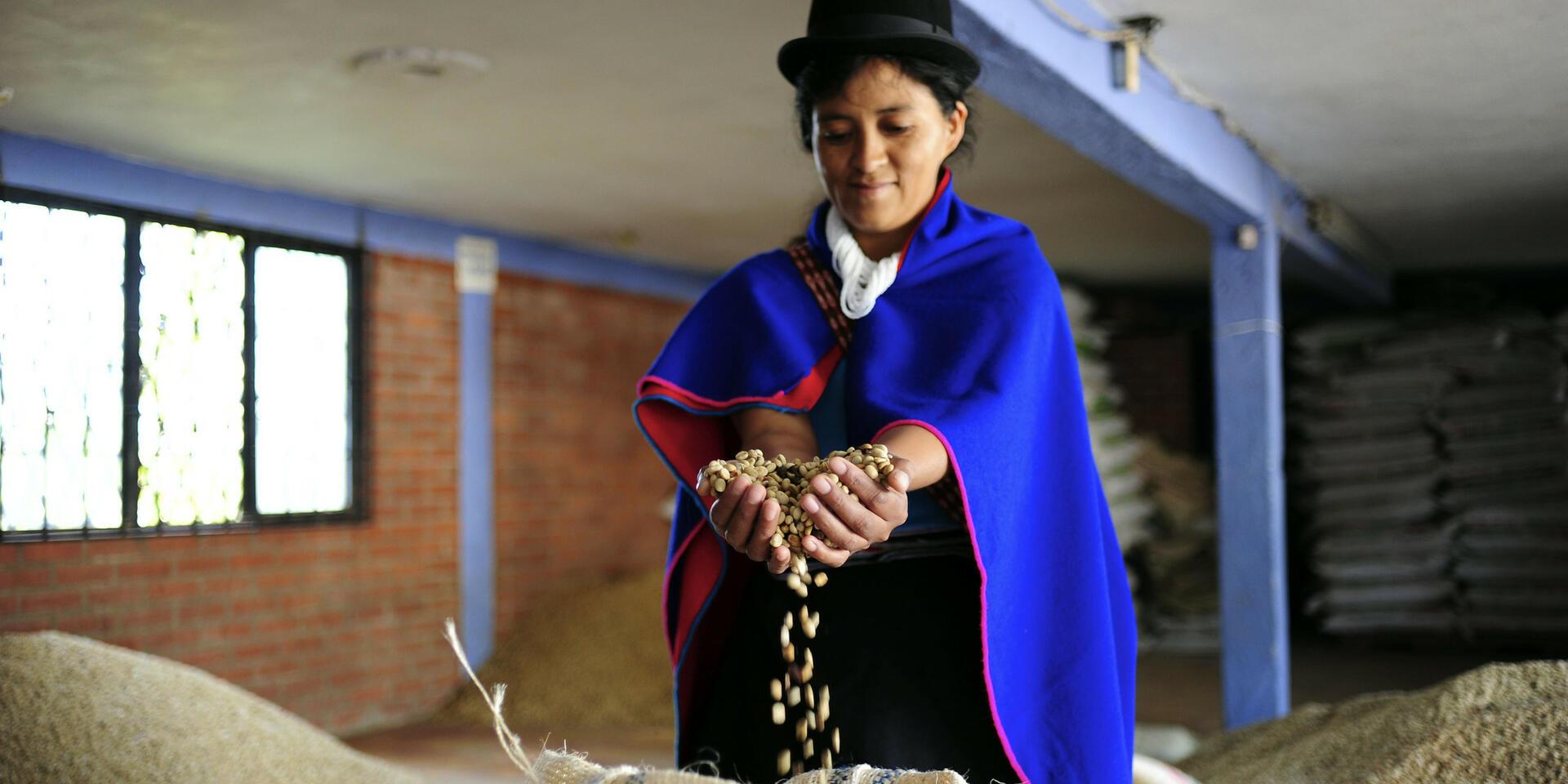Sustainability Policy for Smallholder Farmers - Opportunities - Alliance of Bioversity International - CIAT