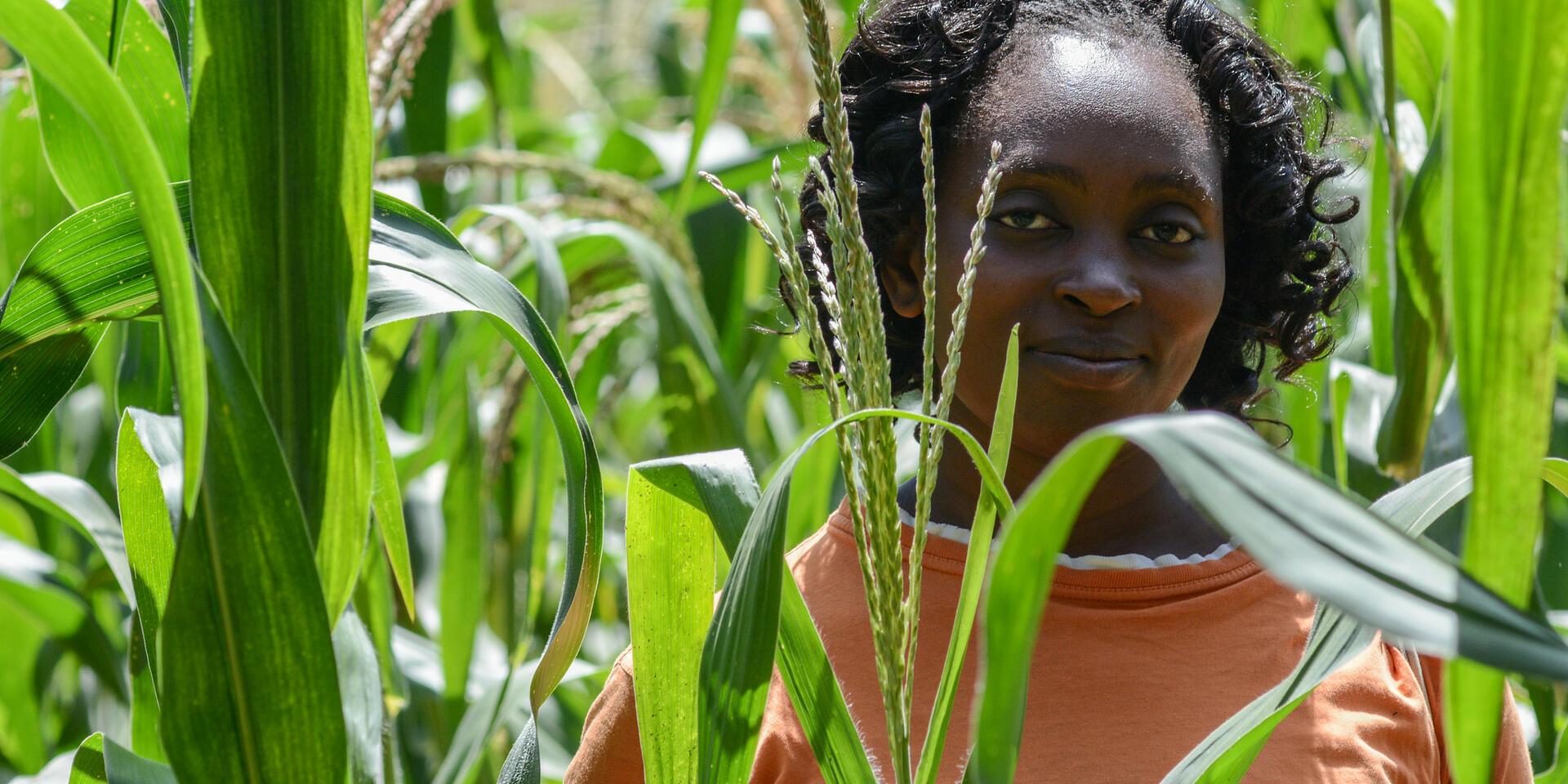 TARSPRo - Alliance Bioversity International - CIAT