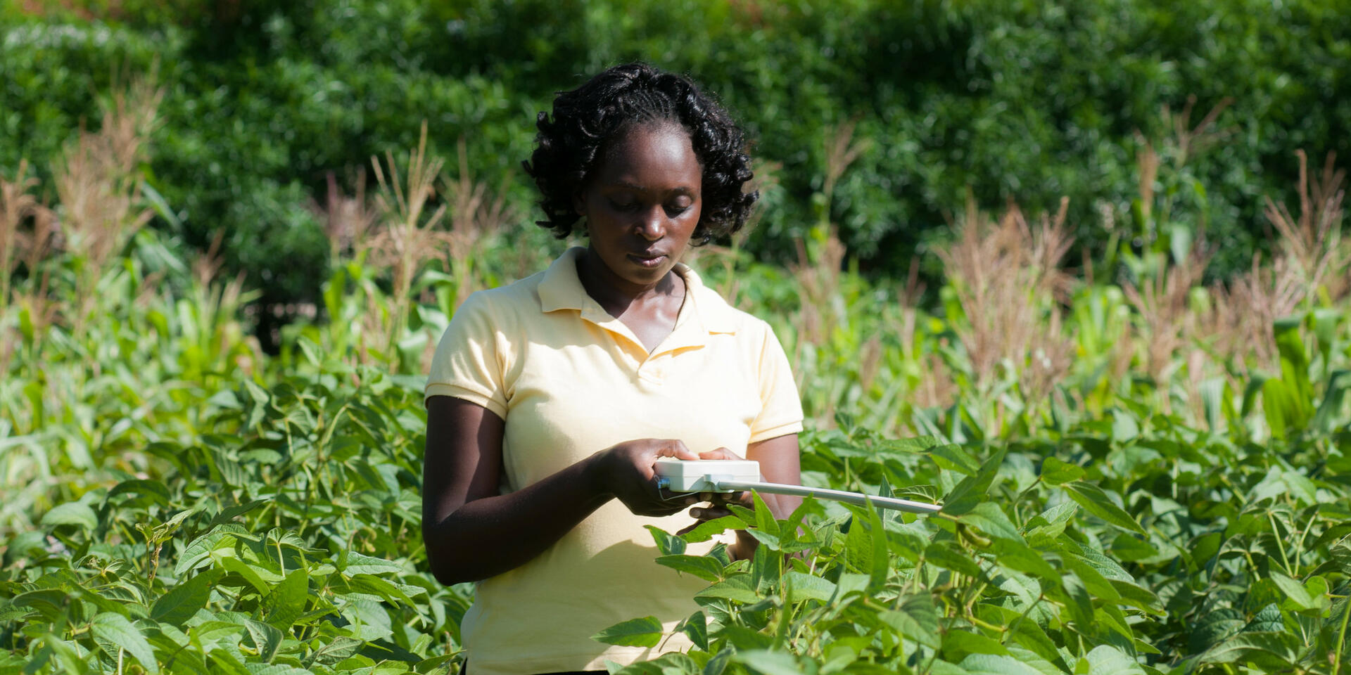 The Alliance at CGIAR Science Week 