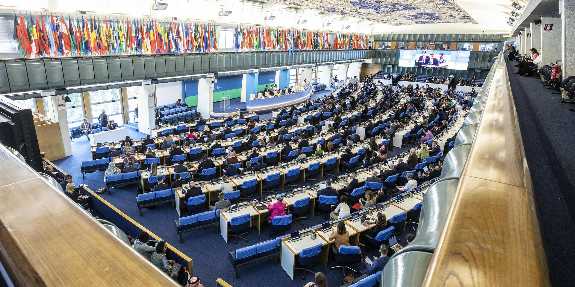 The Alliance at the 53rd Plenary Session of the Committee on World Food Security 