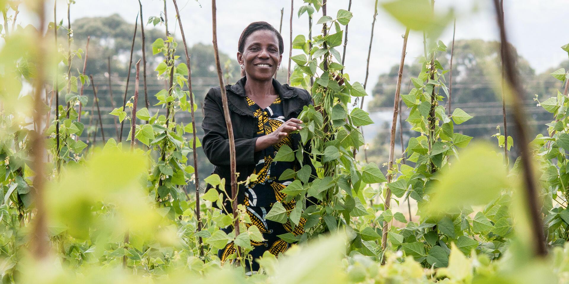 The Alliance at the African Plant Breeders Association (APBA) Conference 2025