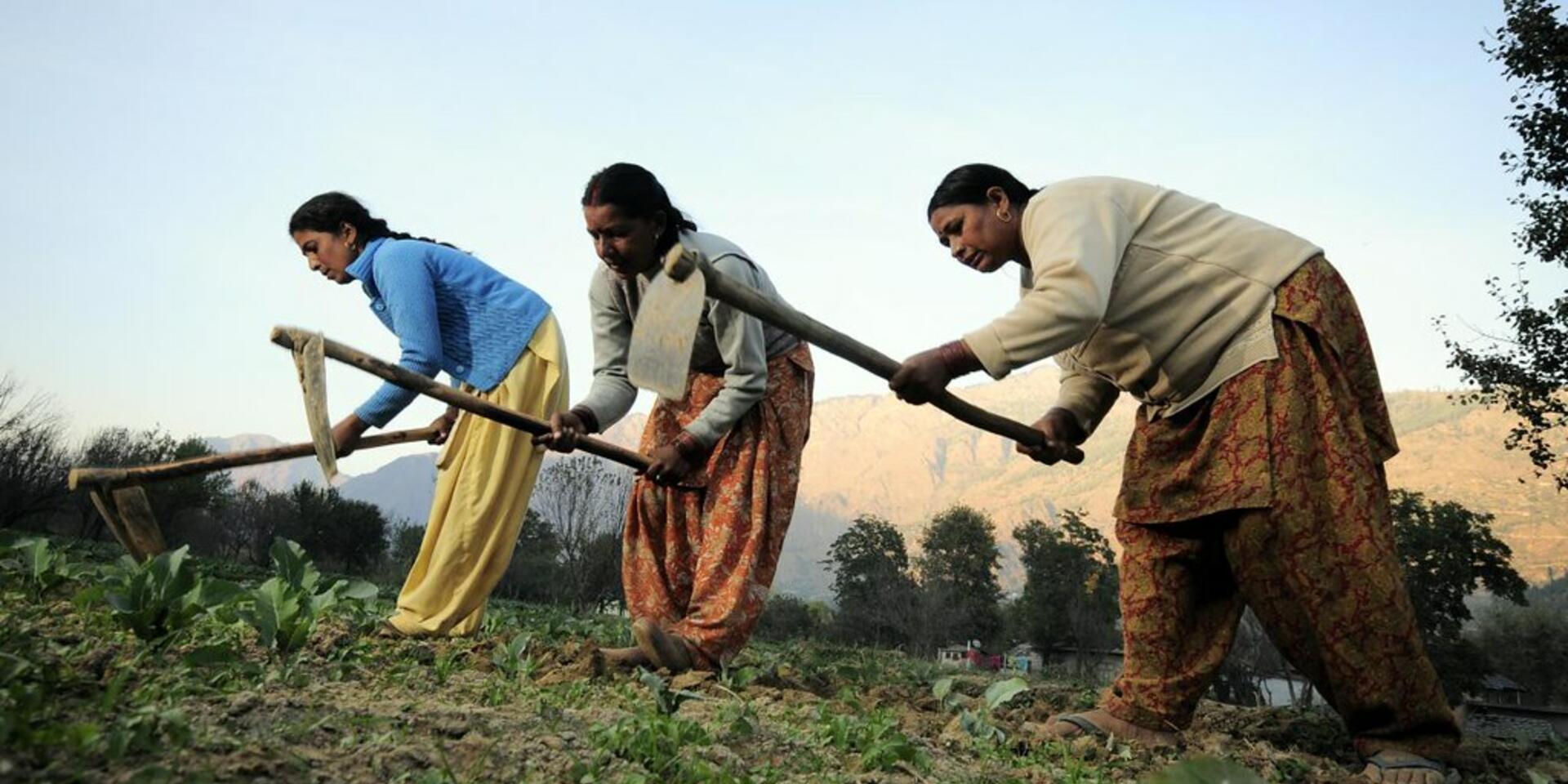 The Alliance at the Global Conference on Women in Agri-Food Systems (GCWAS) 2026