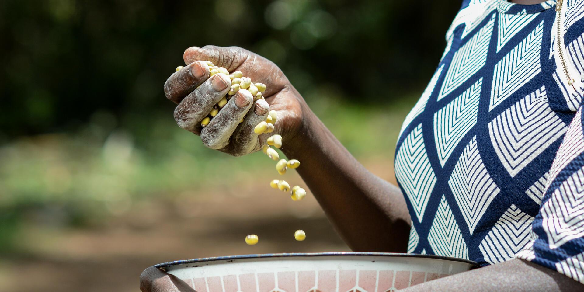 The Alliance at the International Congress of Nutrition 2025
