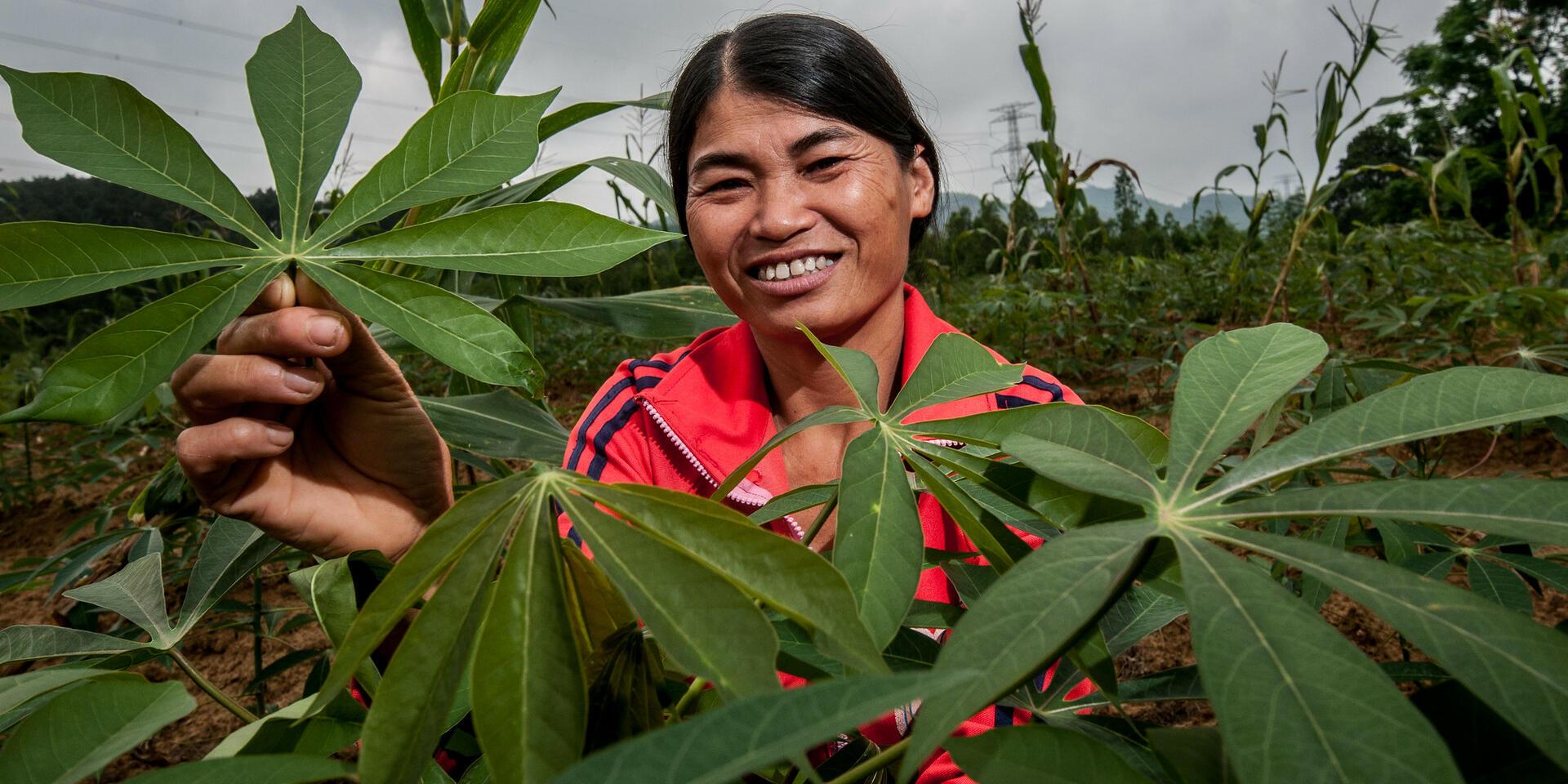 The Alliance at Tropentag 2025  - Alliance of Bioversity International - CIAT