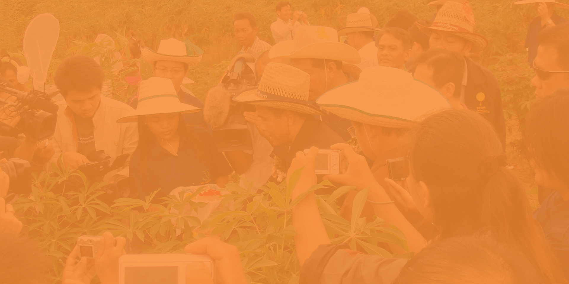 The Alliance in the News and Online -  Annual Report 2023