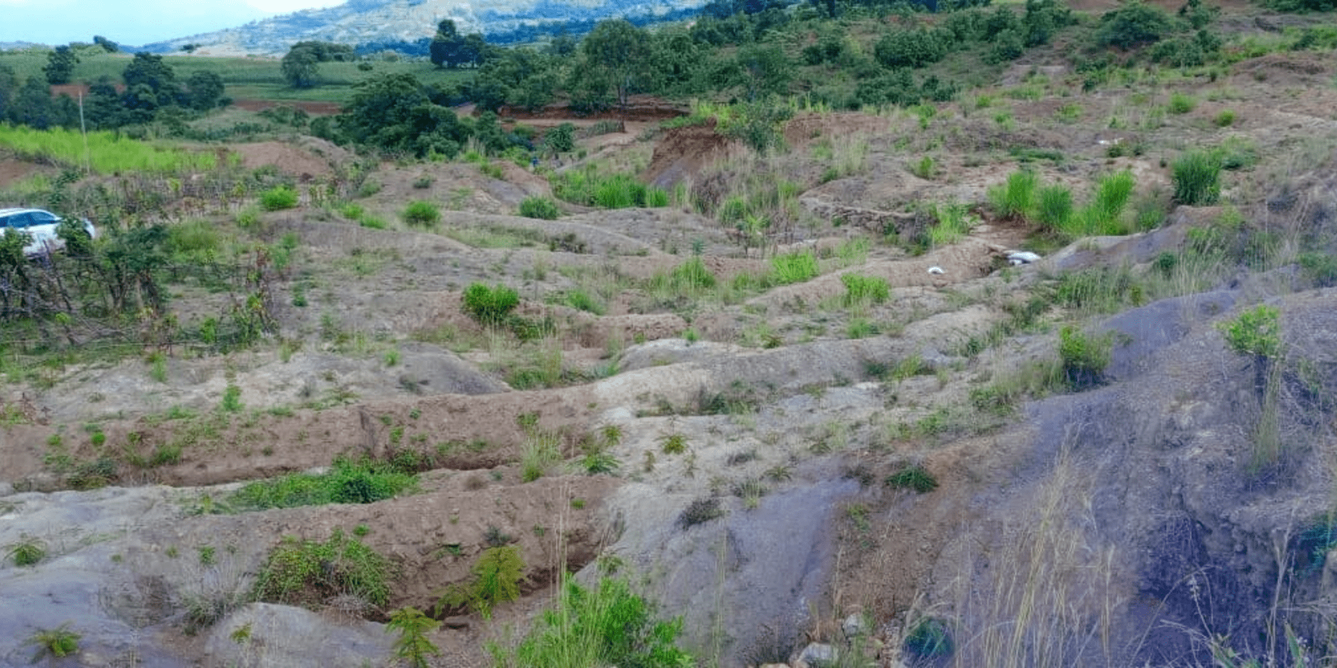The Ethiopia Green Legacy Initiative embarks exemplary landscape restorations - Evidence from the Gurage and Wolaita Zones of Ethiopia