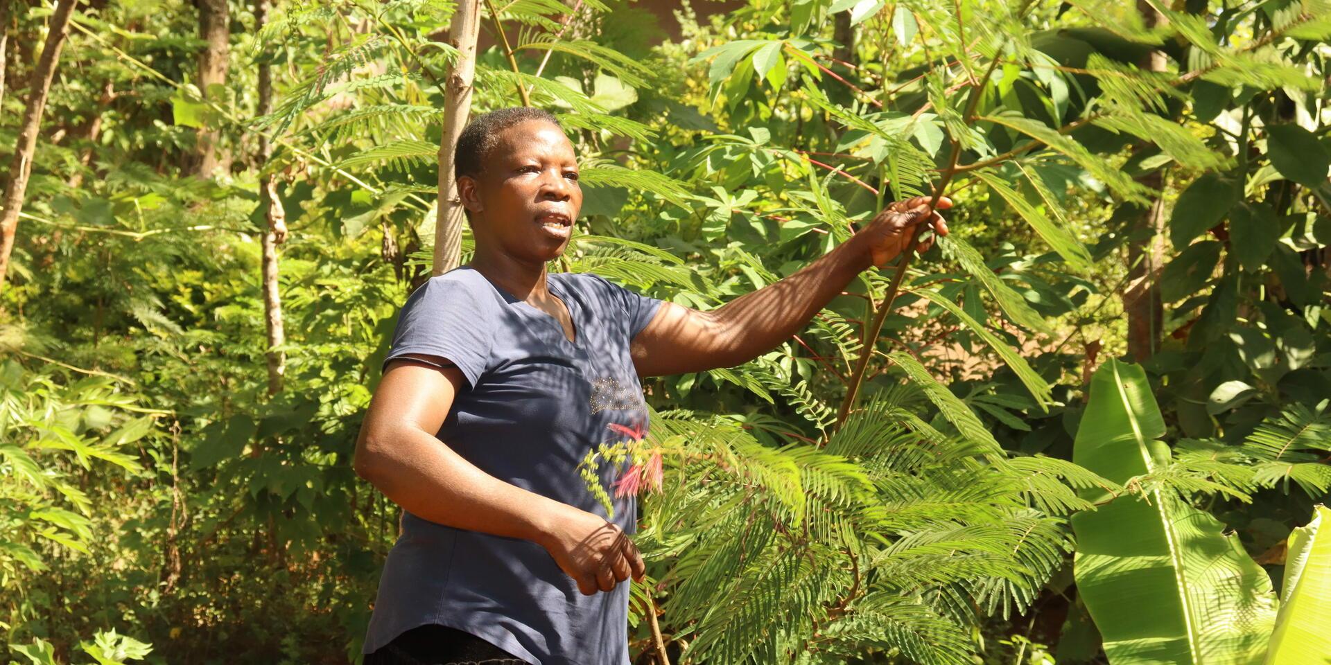 Transforming a landscape, one farmer at a time -Farmers in Lyanaginga Village of Vihiga County making strides towards an agroecological transition