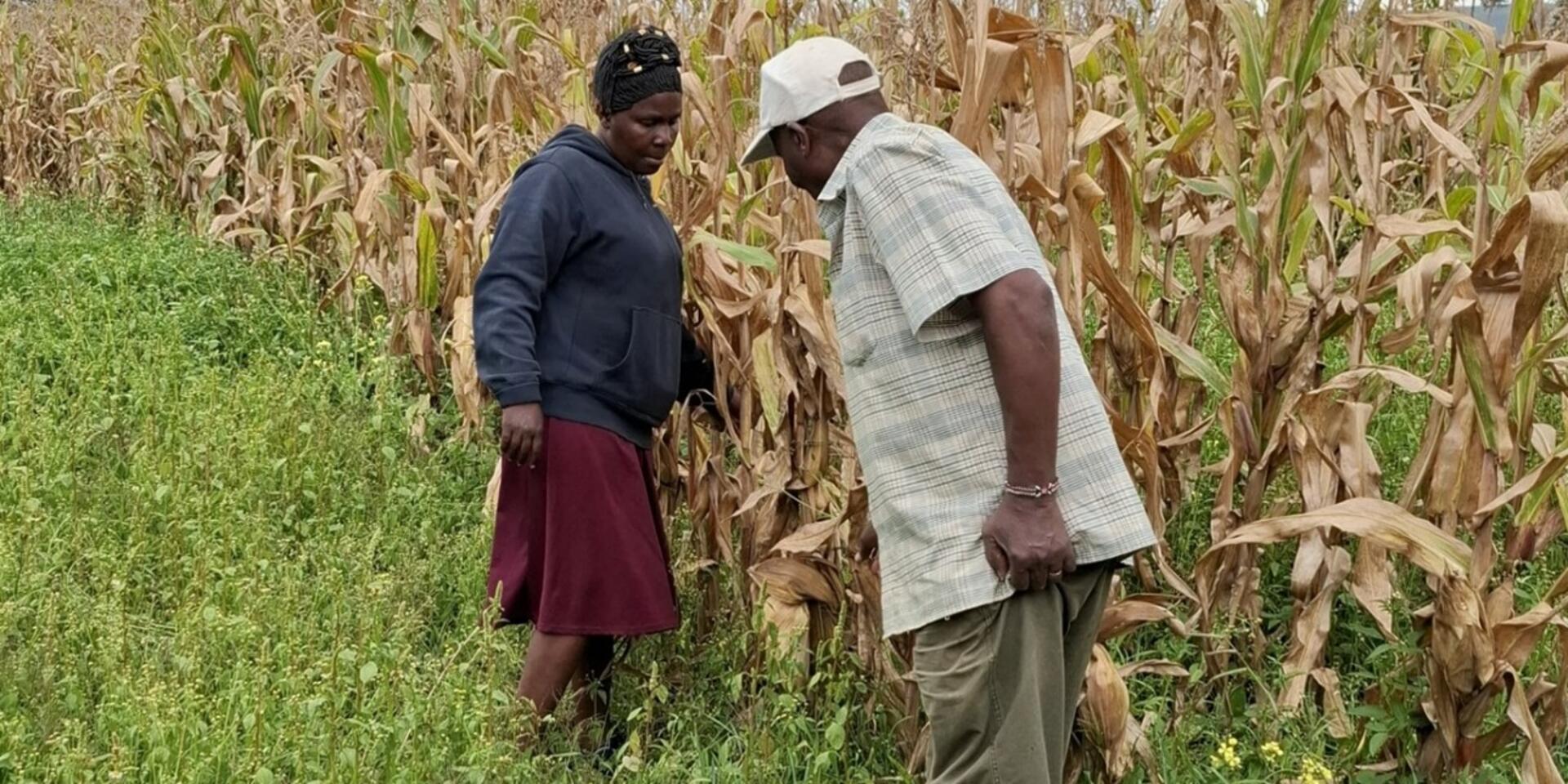 Transforming farming and gender equality in Nakuru County through Socio-Technical Innovation Bundling